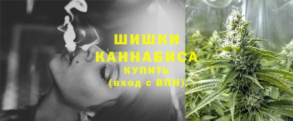 дмт Кукмор