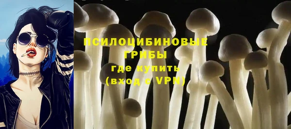 дмт Кукмор