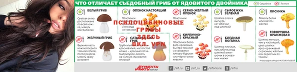 не бодяженный Кулебаки