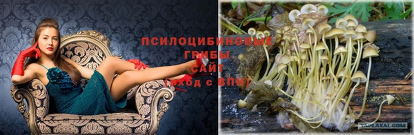 дмт Кукмор