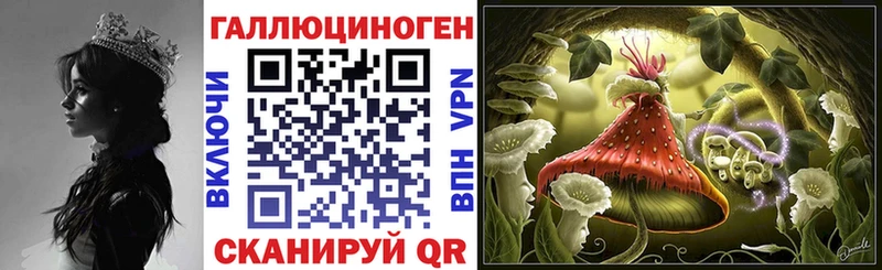 Купить  Георгиевск  Псилоцибиновые грибы Psilocybe 
